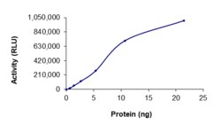 Sino Biological&nbsp;Recombinant Human AMPK (G1/B1/A1) Heterotrimer Protein (Full Length, A1/B1/G1, His Tag), Active